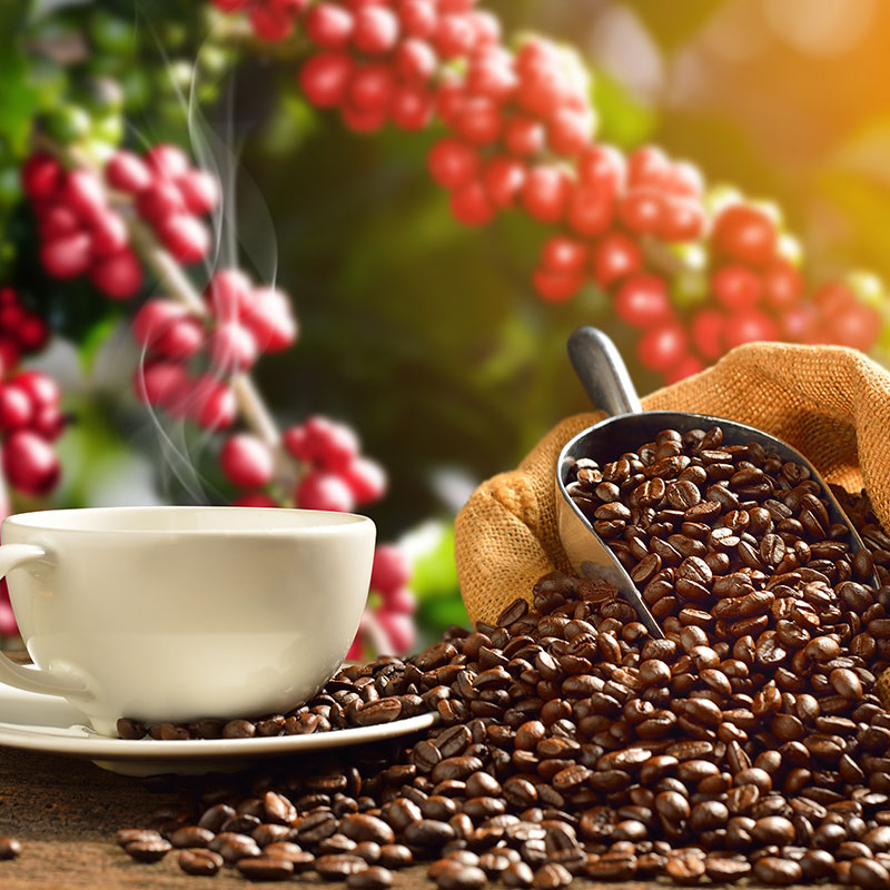 Coffee & tea industry label printers from Afinia Label